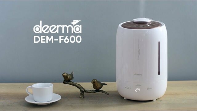 Deerma DEM-F600